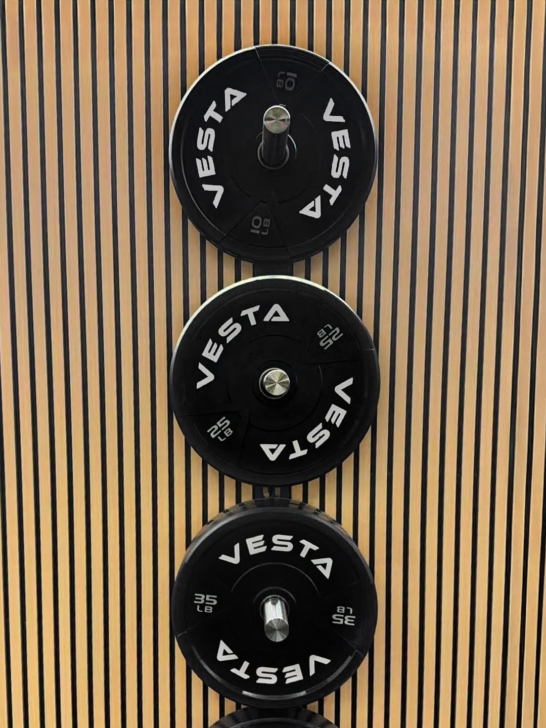 Post 6 by Vesta Fitness on Instagram (image)