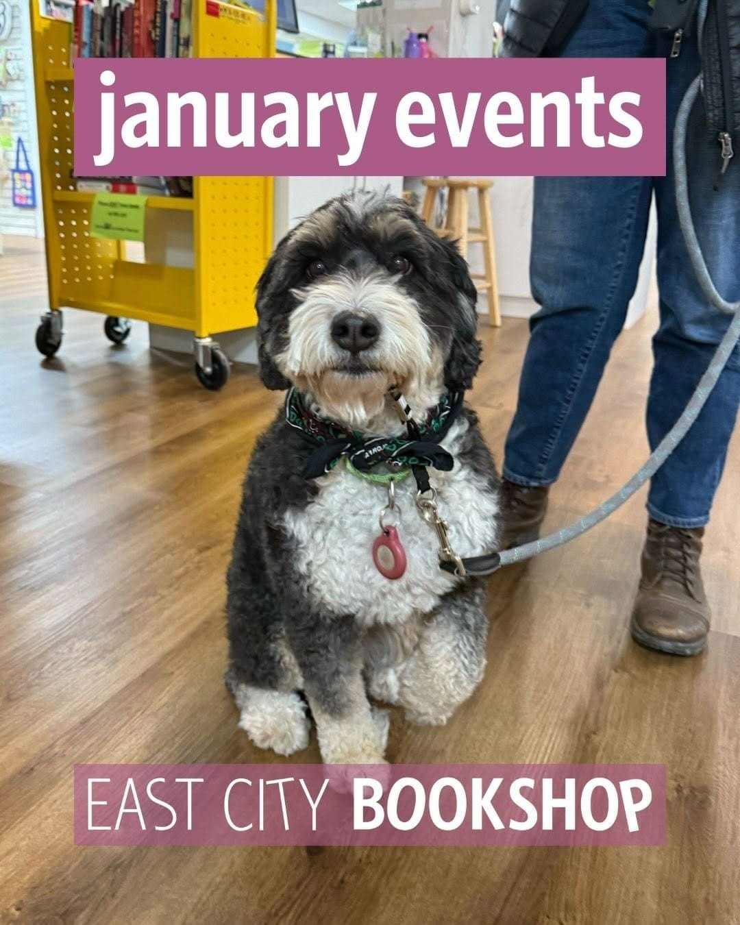 Post 5 by East City Bookshop on Instagram (carousel)
