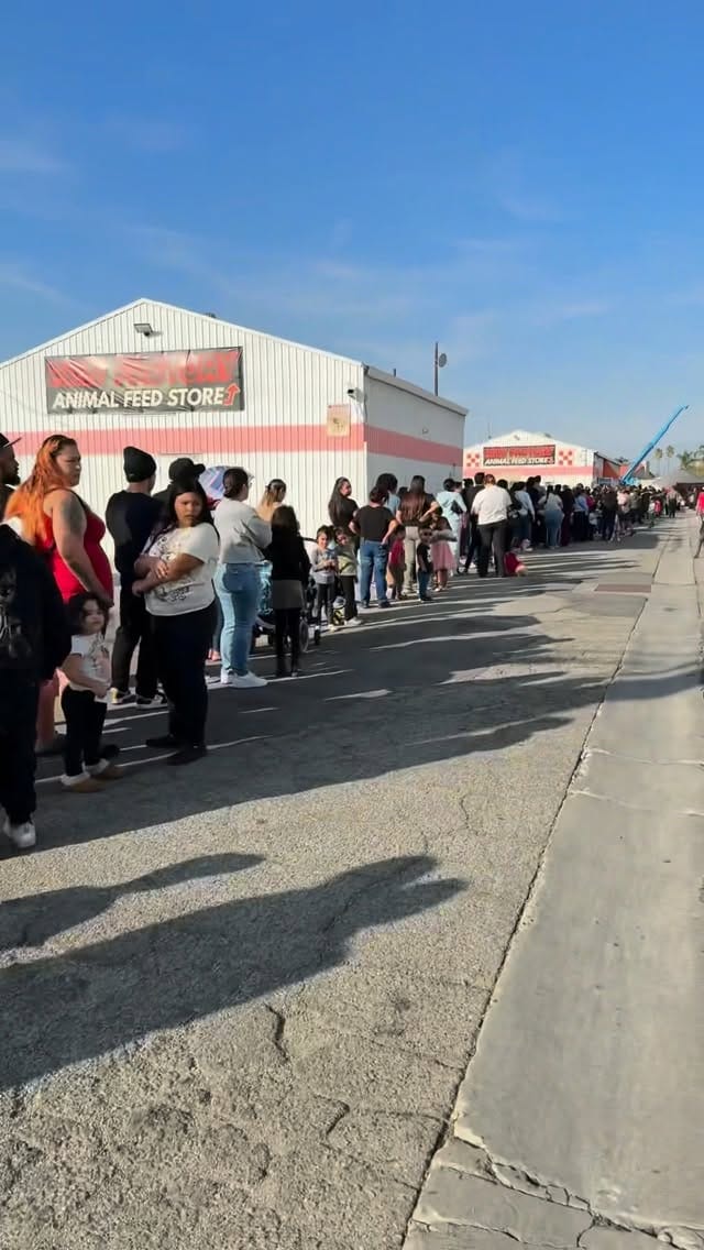 Post 5 by Fontana California📍(909) 440-5922 on Instagram (video)