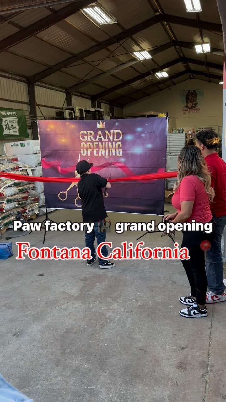 Post 9 by Fontana California📍(909) 440-5922 on Instagram (video)