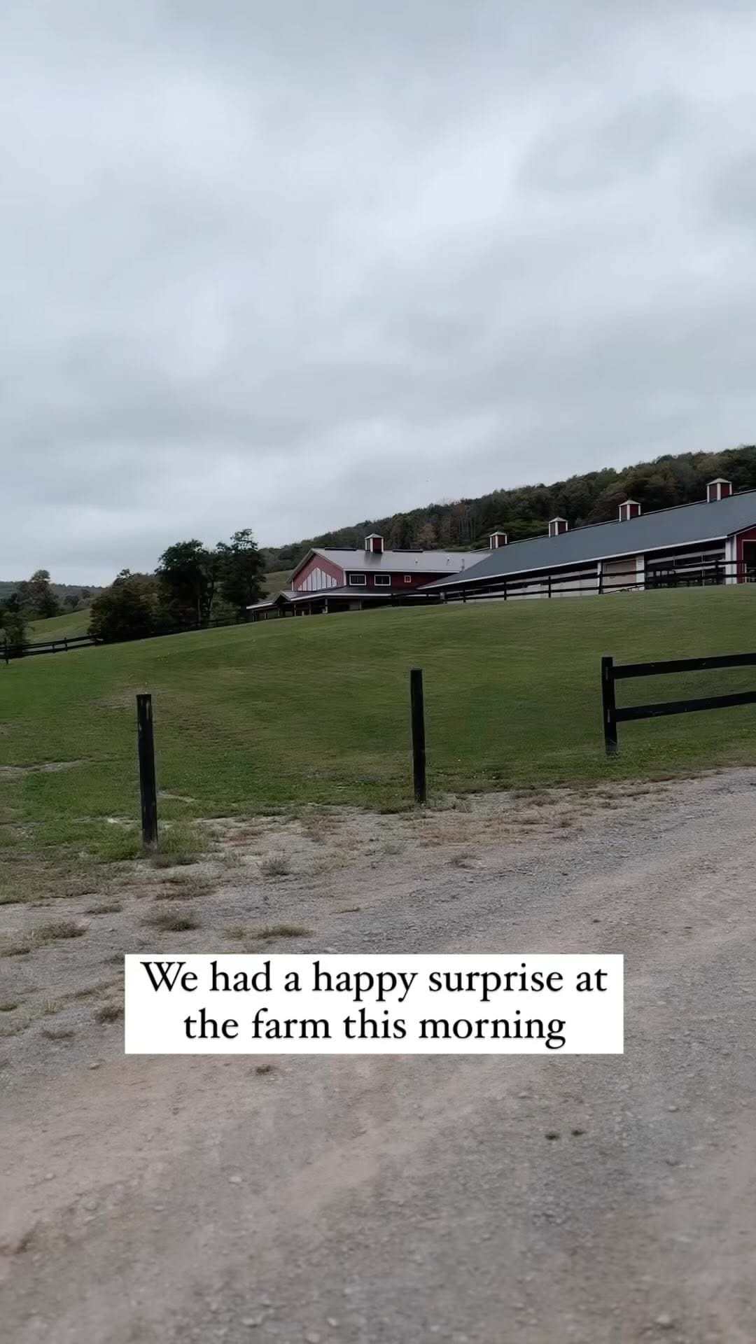 Post 5 by Manhattan Milk on Instagram (video)