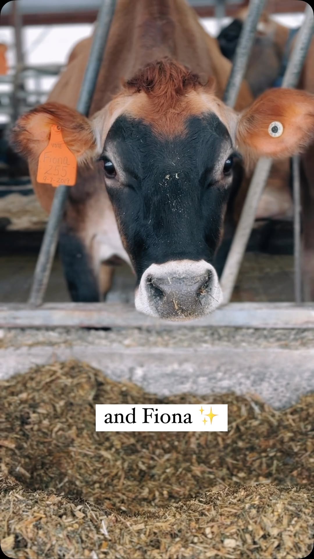 Post 2 by Manhattan Milk on Instagram (video)