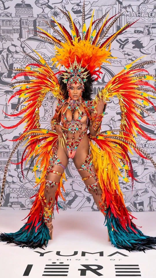 Post 1 by Hai Trim & Feathers on Instagram (video)
