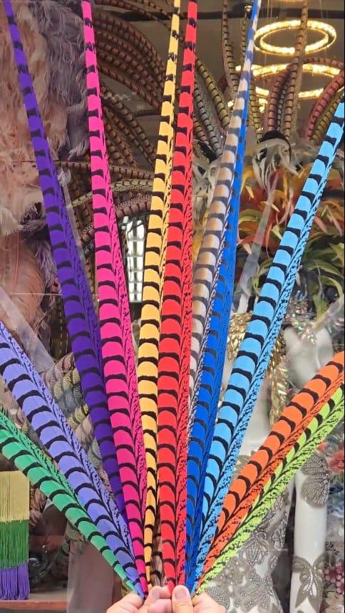 Post 4 by Hai Trim & Feathers on Instagram (video)