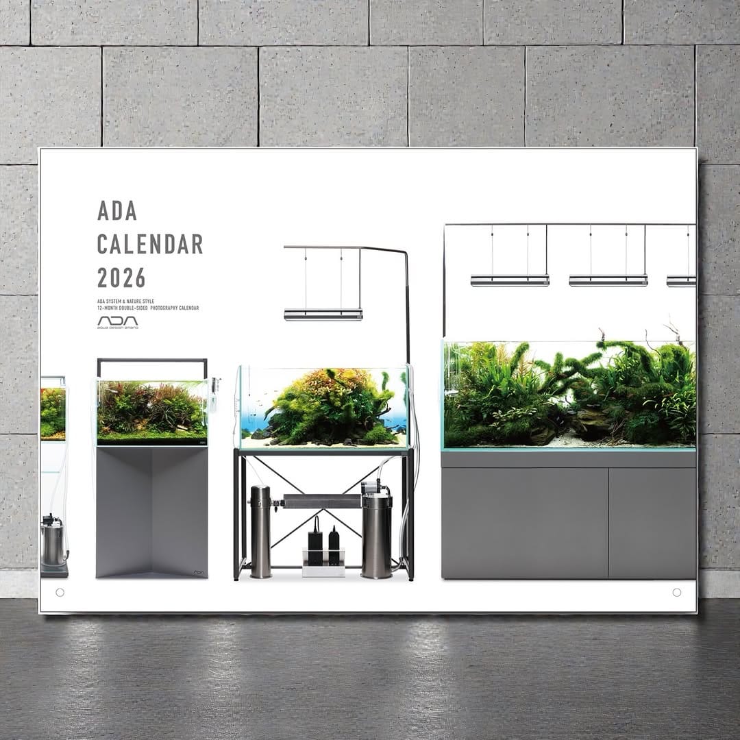 Post 5 by Aqua Forest Aquarium on Instagram (carousel)