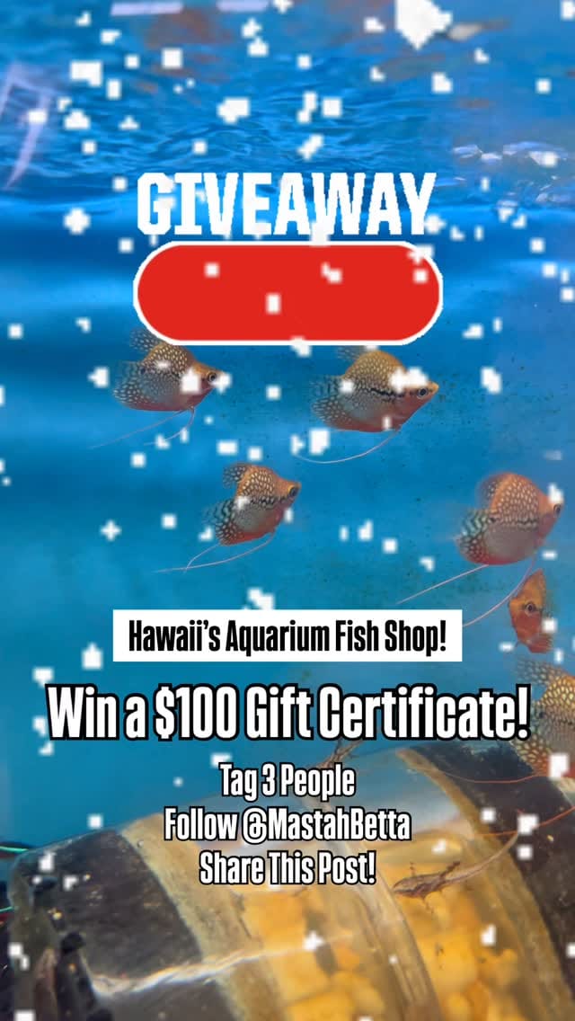 Post 5 by MastahBetta Fish Shop 🔥 on Instagram (video)
