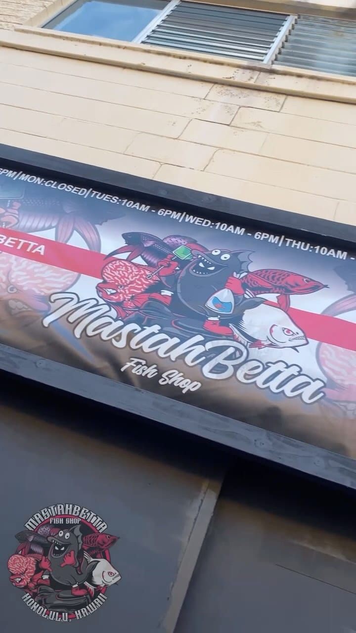 Post 10 by MastahBetta Fish Shop 🔥 on Instagram (video)