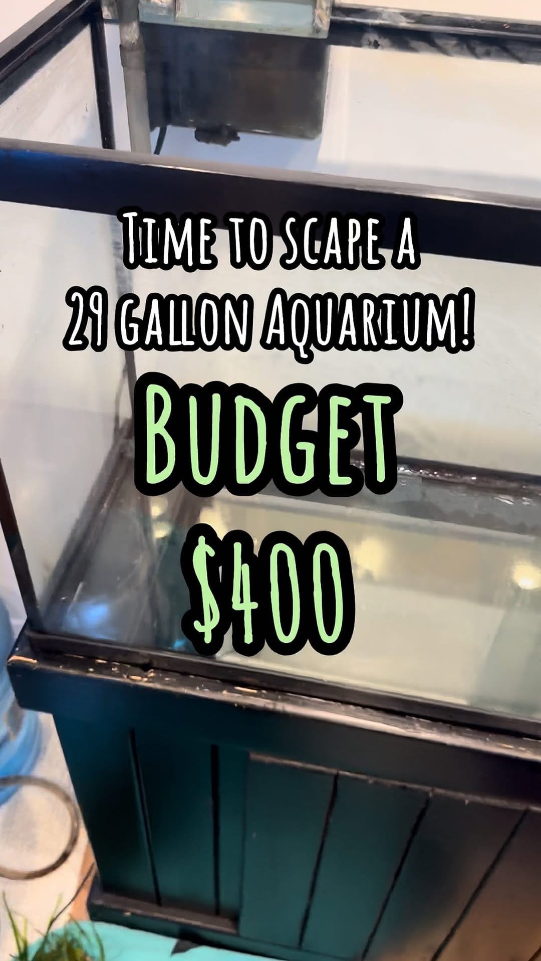 Post 4 by MastahBetta Fish Shop 🔥 on Instagram (video)