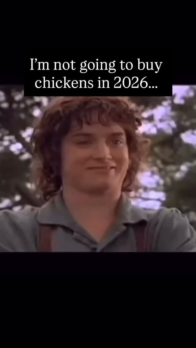 Post 4 by Ideal Poultry on Instagram (video)