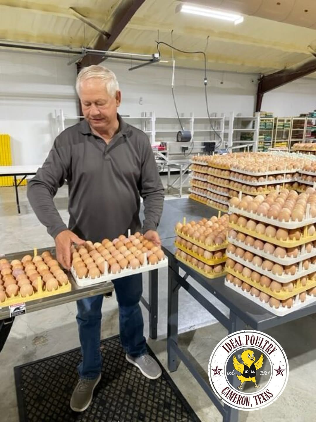 Post 8 by Ideal Poultry on Instagram (image)