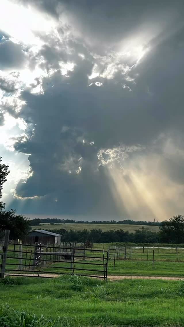 Post 3 by Ideal Poultry on Instagram (video)