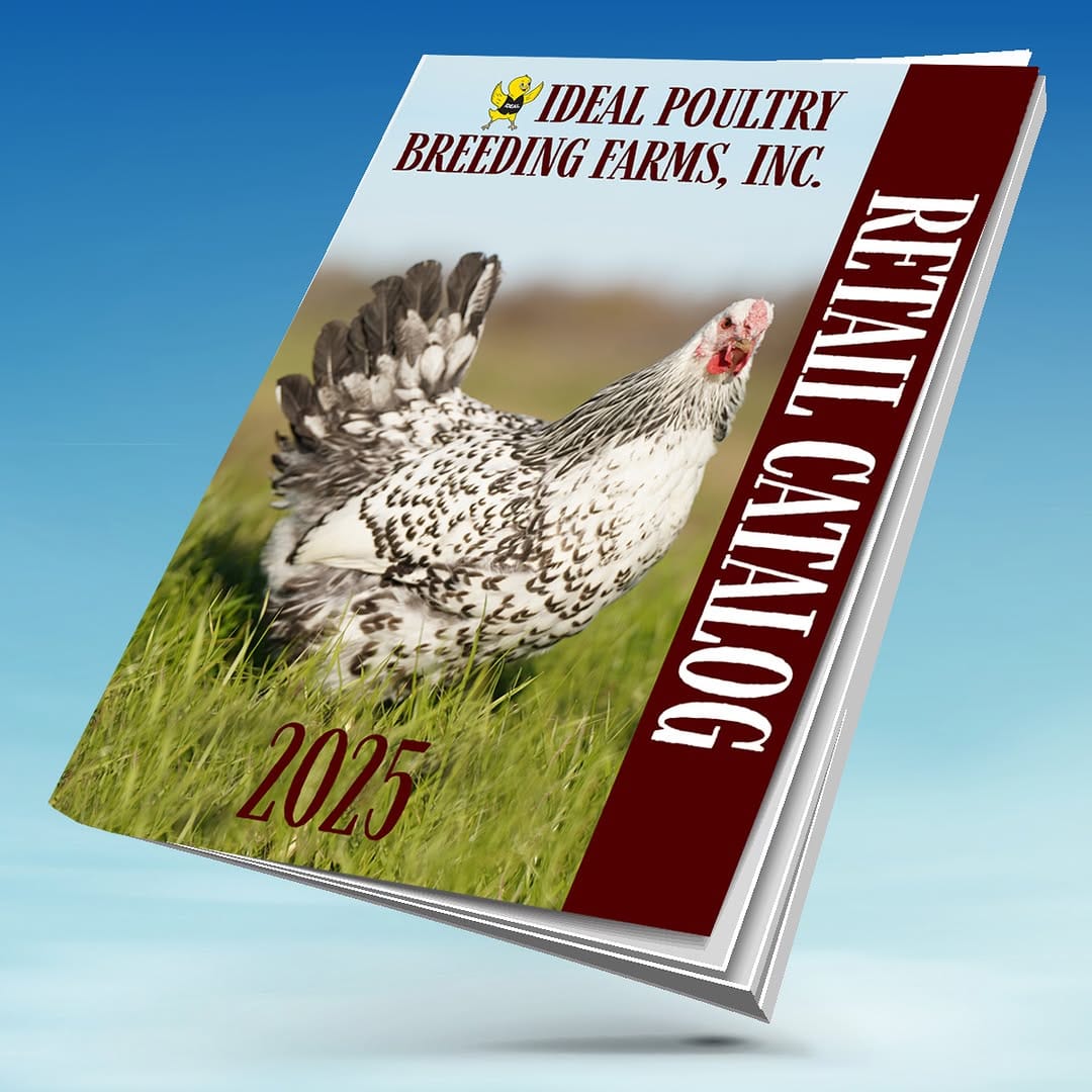 Post 9 by Ideal Poultry on Instagram (carousel)