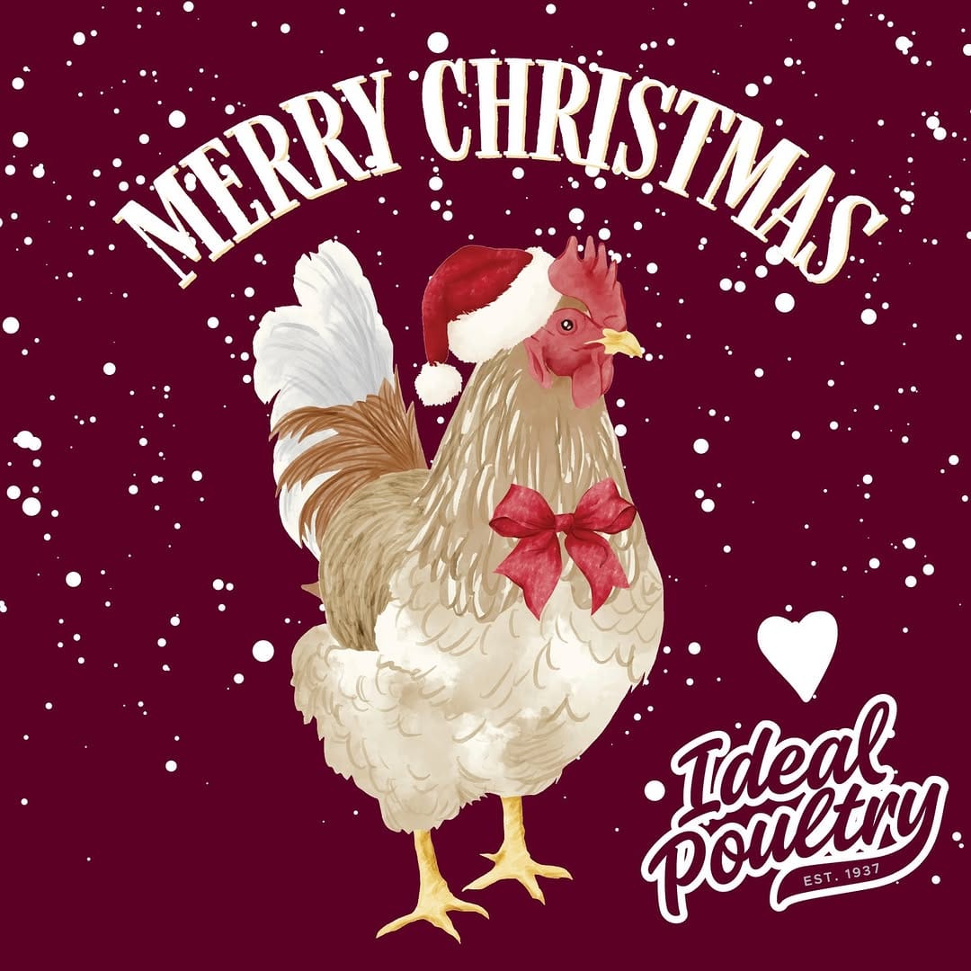 Post 5 by Ideal Poultry on Instagram (image)