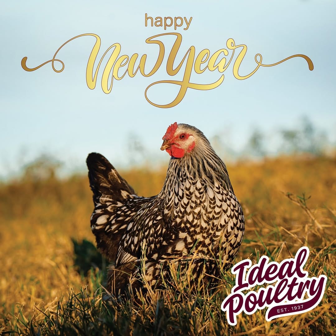 Post 2 by Ideal Poultry on Instagram (image)