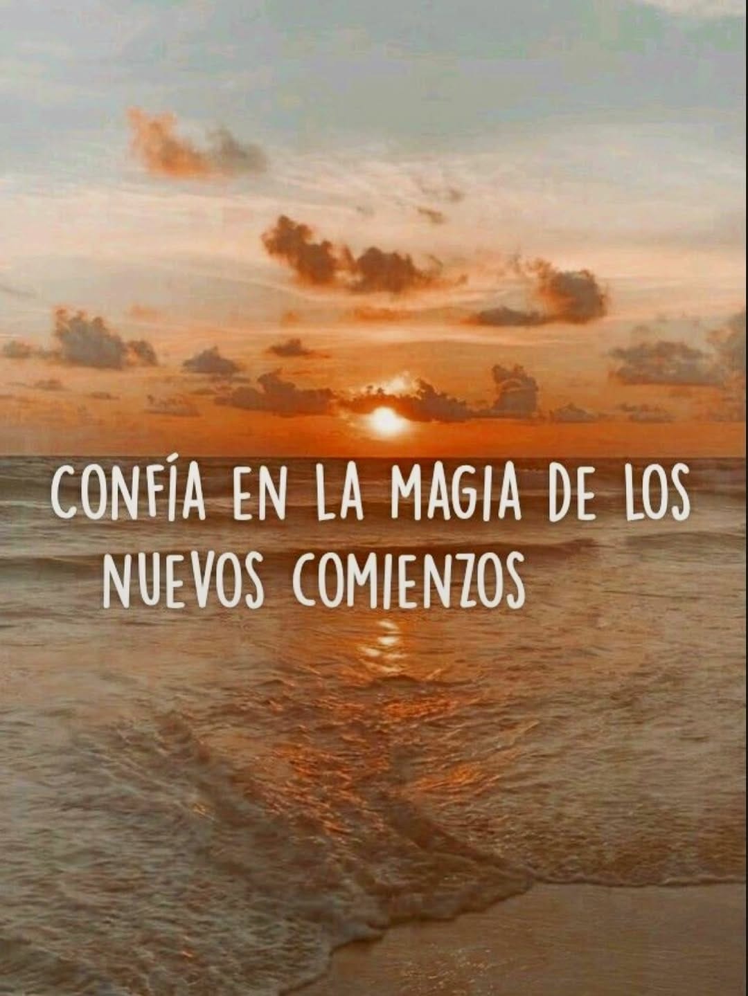 Post 2 by Mango biche tienda on Instagram (carousel)