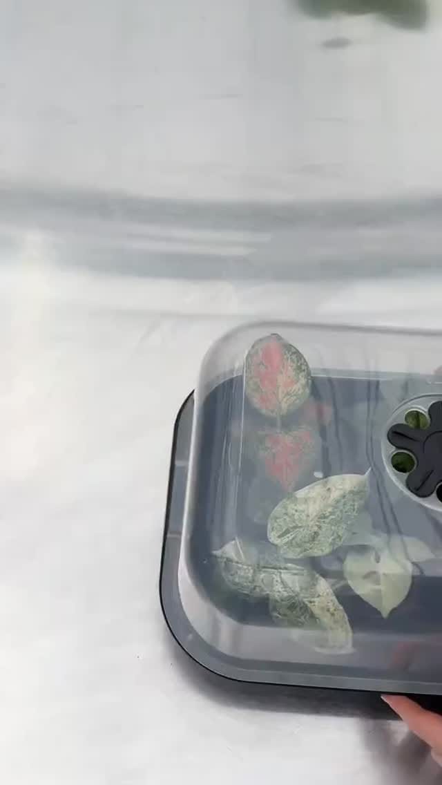Post 3 by PLNTS.com on Instagram (video)