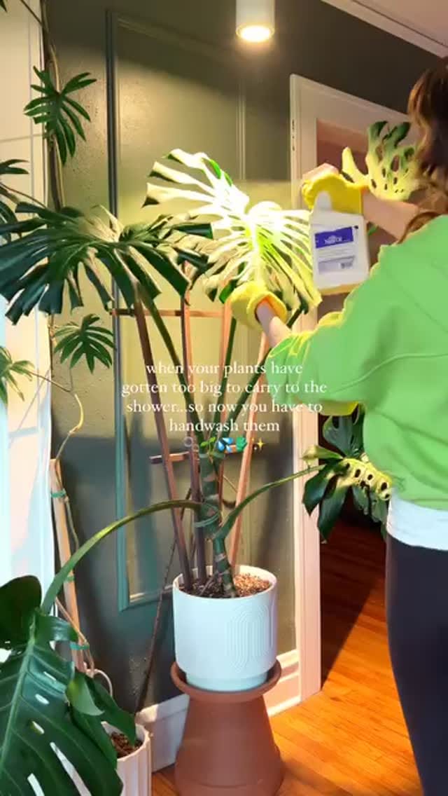Post 1 by PLNTS.com on Instagram (video)