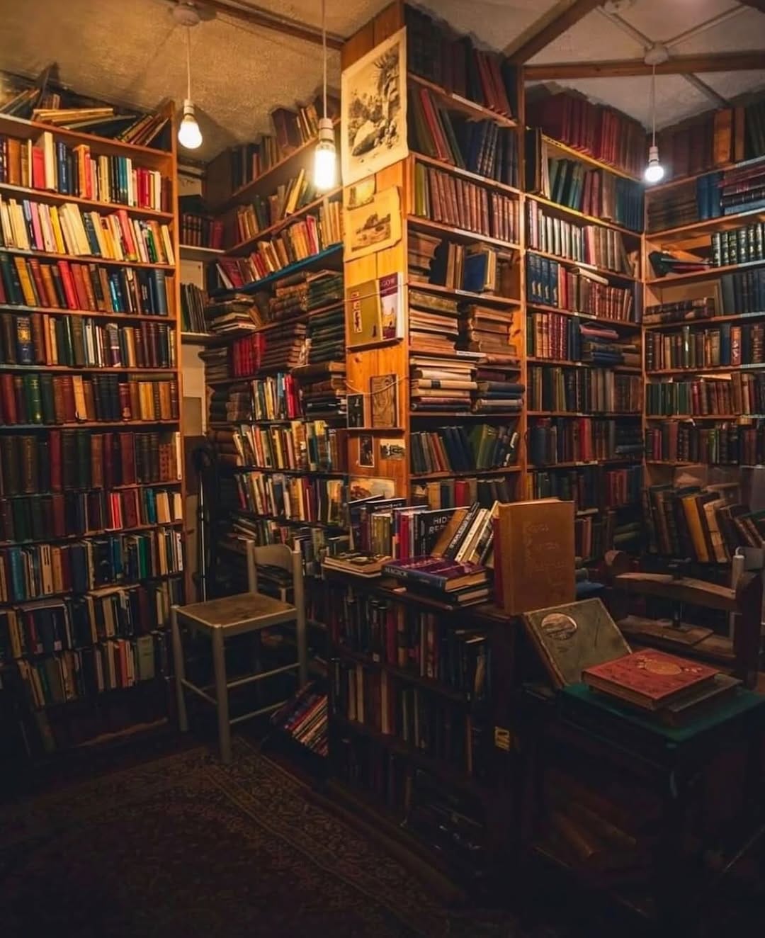 Post 5 by Dusty Attic Rare Books 📚        Rich Pellegrino on Instagram (image)