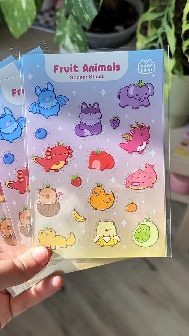Post 2 by Shopzoki on Instagram (video)
