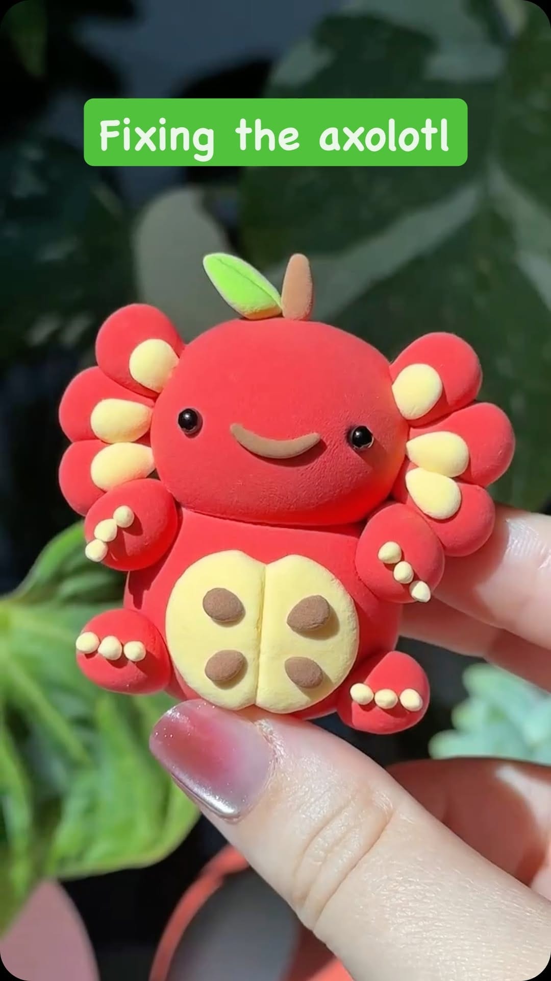Post 8 by Shopzoki on Instagram (video)