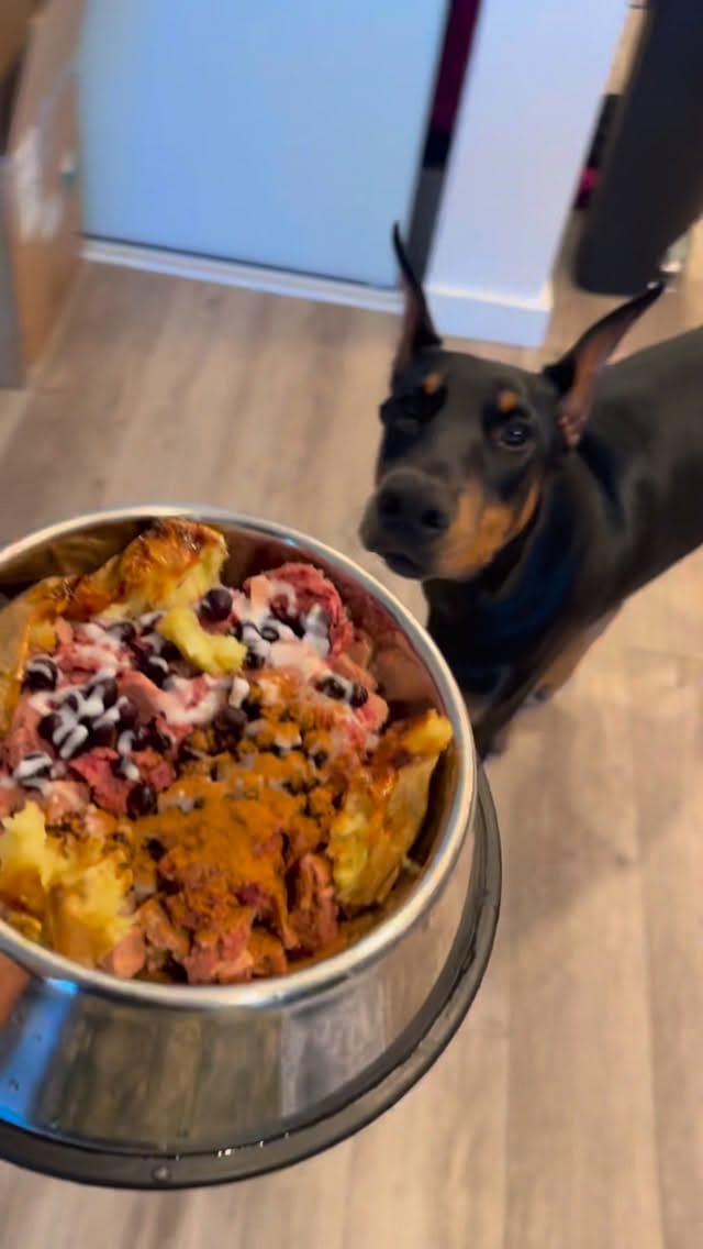 Post 4 by 808 RAW PET FOOD LLC on Instagram (video)