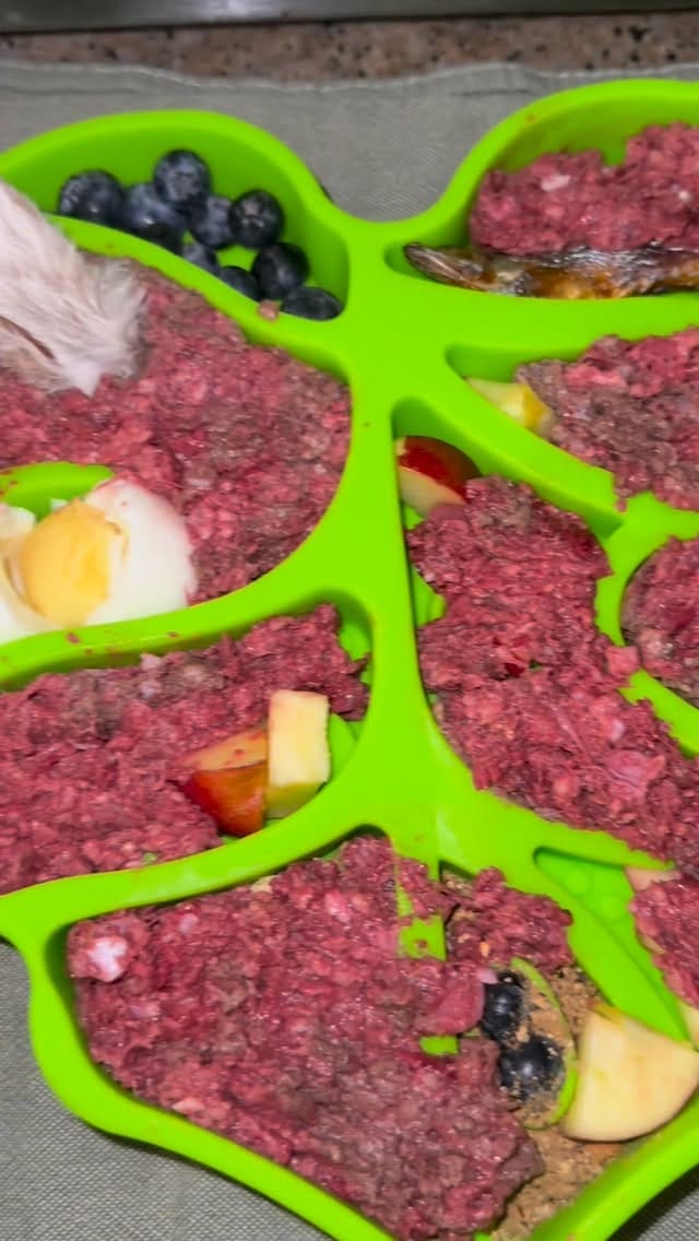 Post 2 by 808 RAW PET FOOD LLC on Instagram (video)