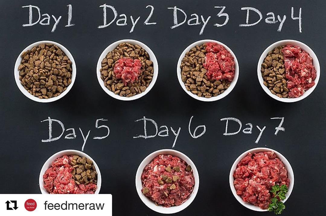 Post 10 by 808 RAW PET FOOD LLC on Instagram (image)