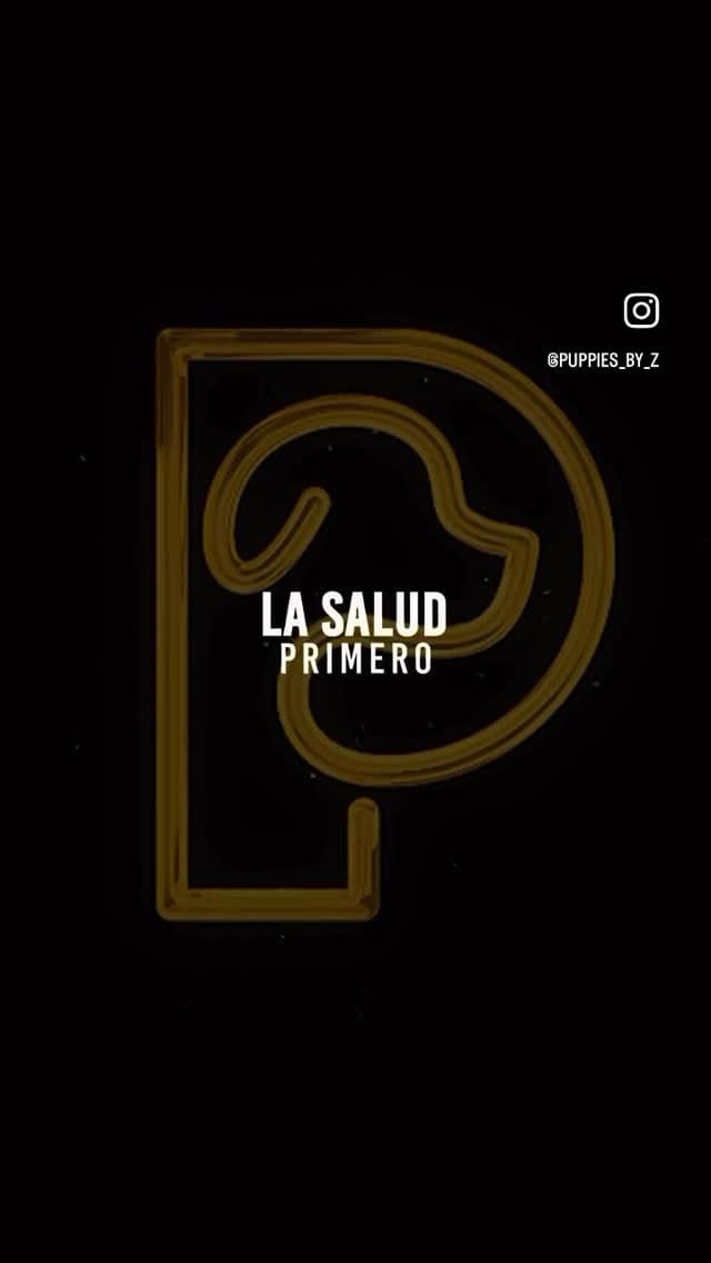 Post 8 by Zusell Porto on Instagram (video)