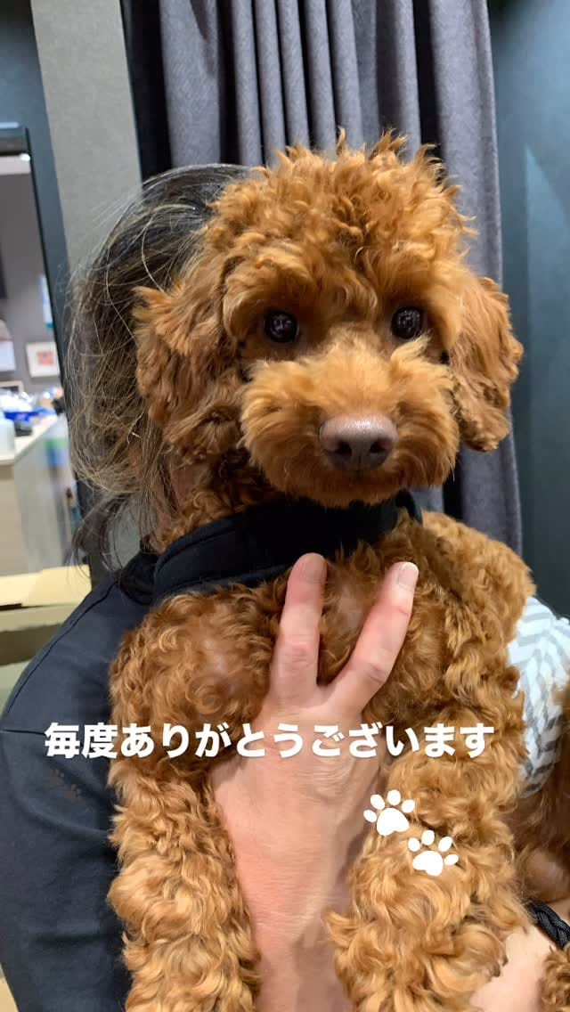 Post 7 by 浅草 絆纒屋 on Instagram (video)