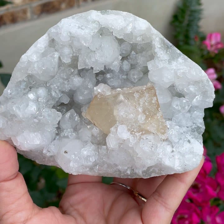 Post 6 by The Sacred Crystal on Instagram (video)