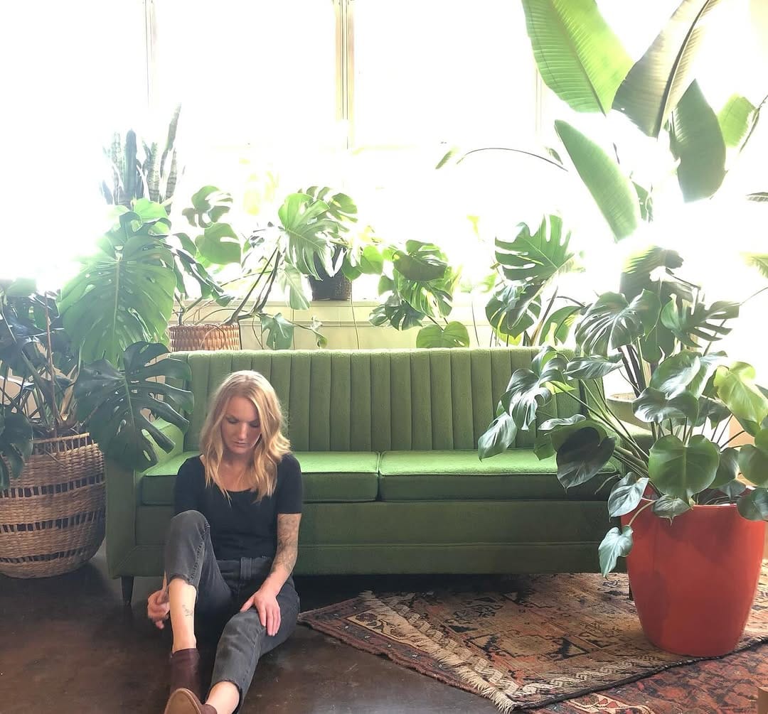 Post 6 by Monstera House on Instagram (image)