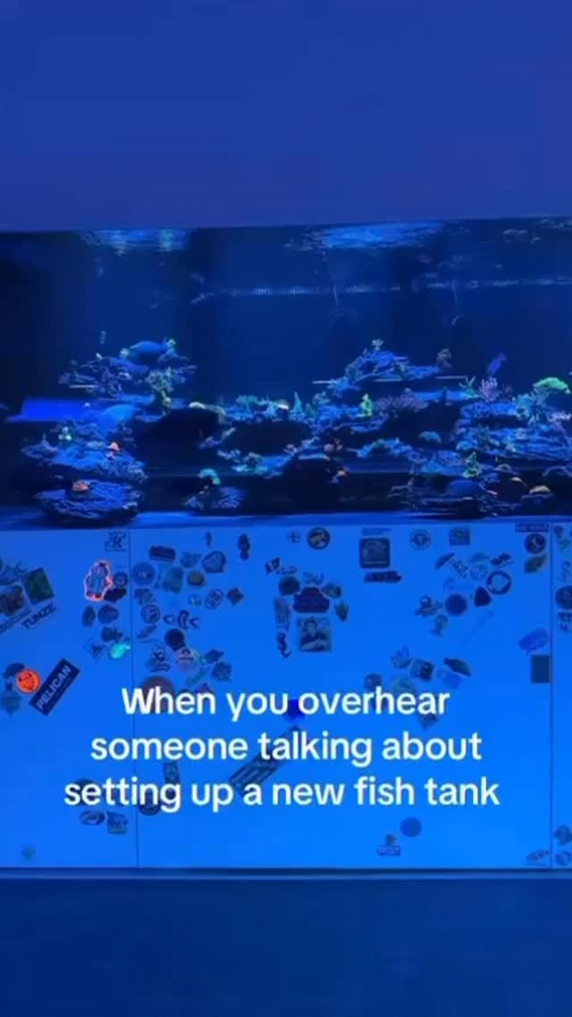 Post 4 by World Wide Corals on Instagram (video)