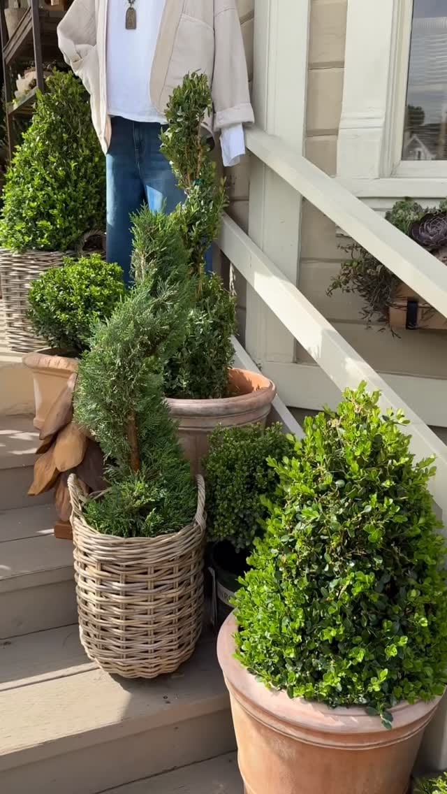 Post 5 by botanik on Instagram (video)