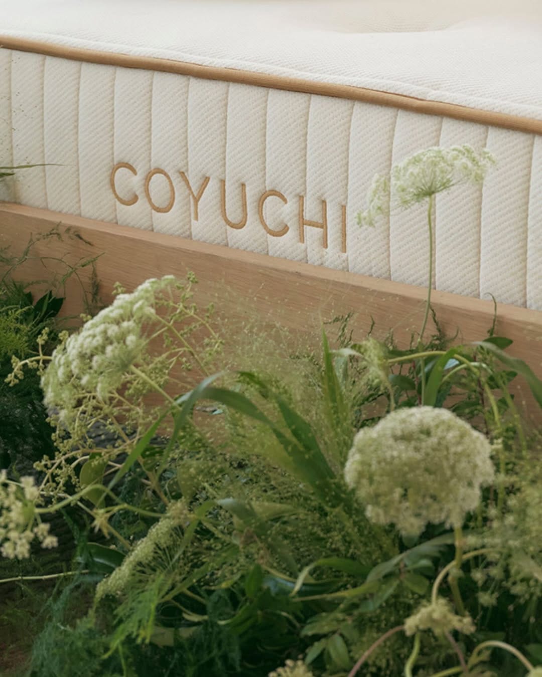 Post 3 by COYUCHI on Instagram (image)