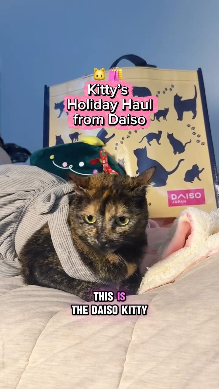 Post 10 by Daiso USA on Instagram (video)