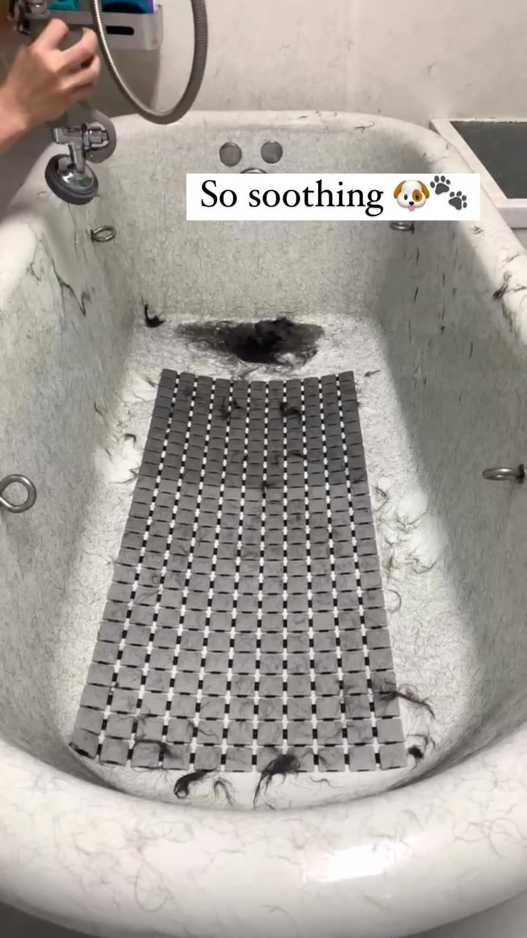 Post 10 by The Green Spot on Instagram (video)
