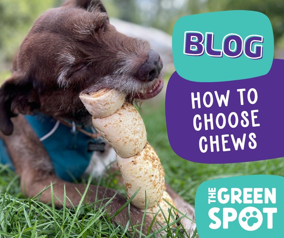 Post 1 by The Green Spot on Instagram (image)