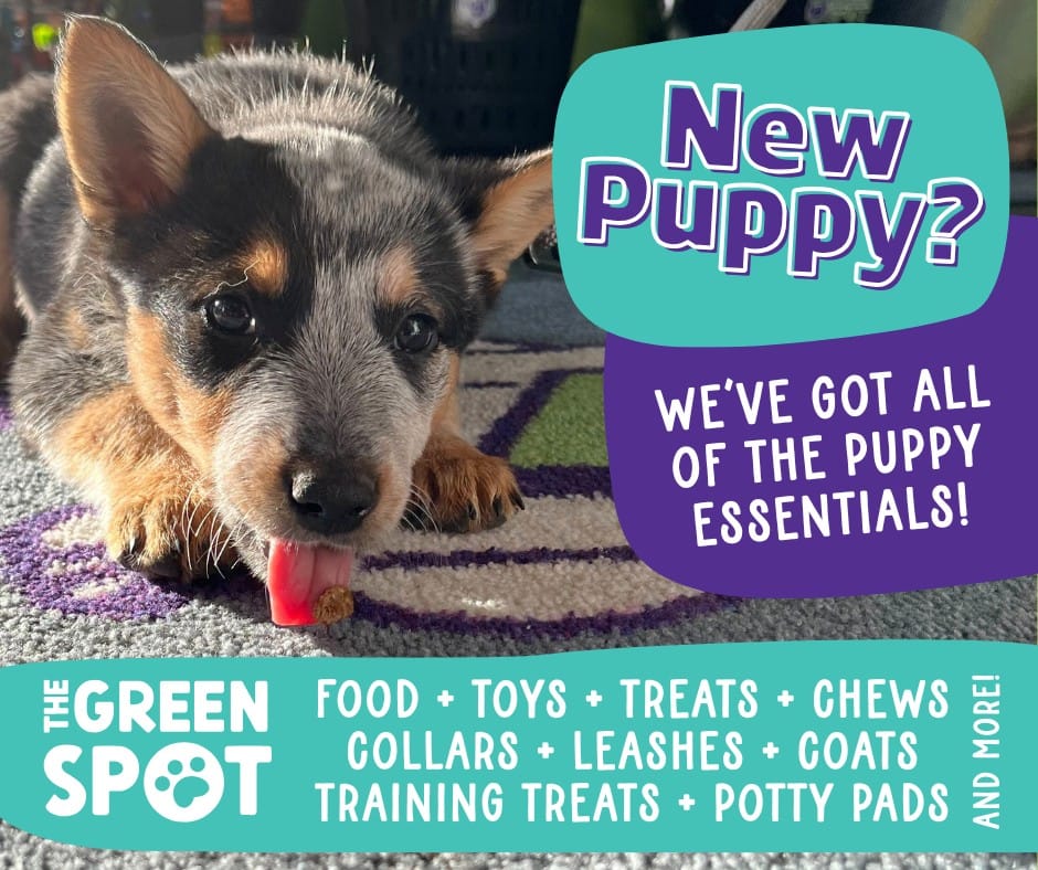 Post 6 by The Green Spot on Instagram (image)