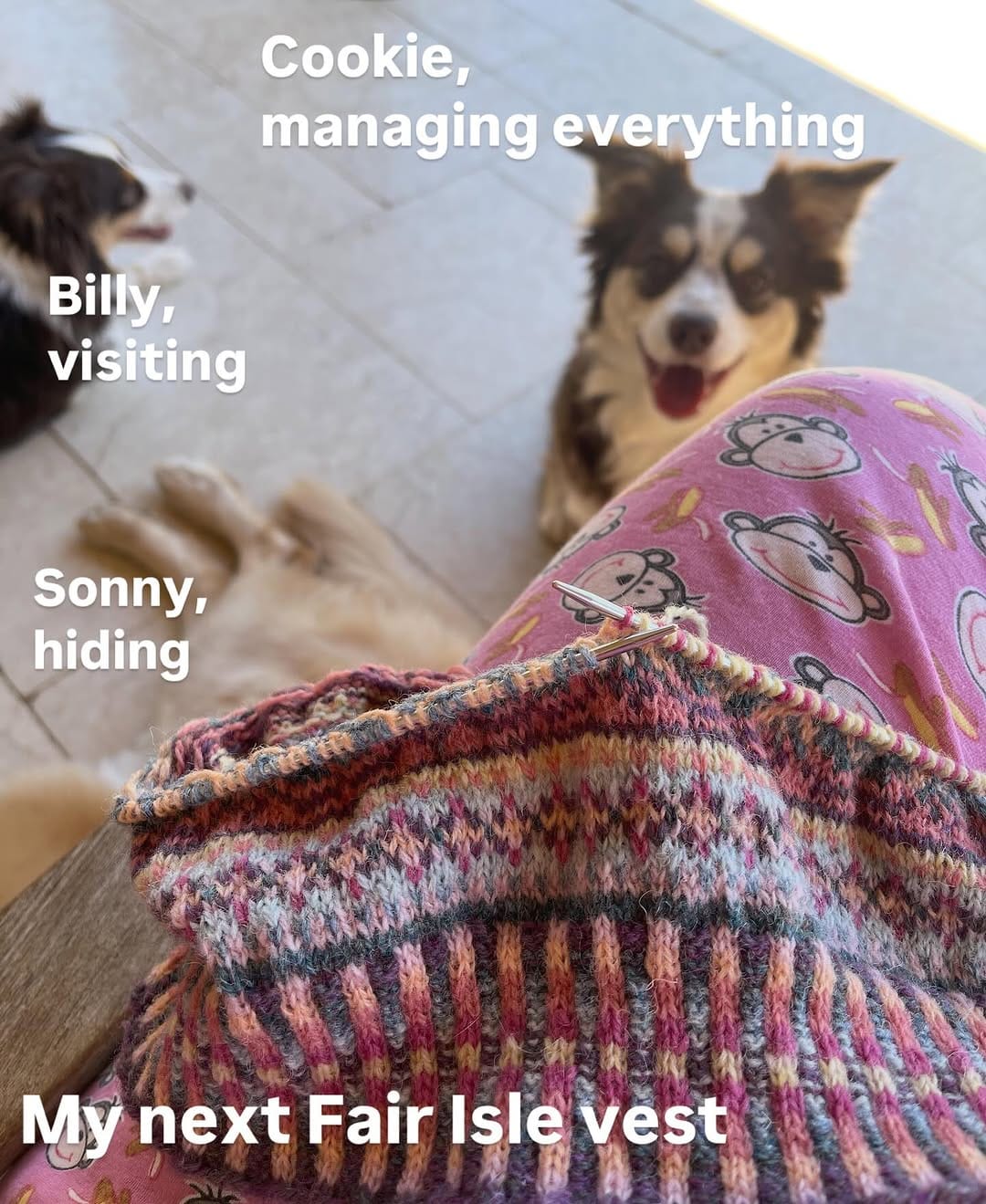 Post 8 by MaryAnnStephensKnits on Instagram (image)