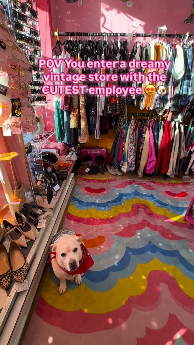 Post 3 by Ariel Linebaugh on Instagram (video)