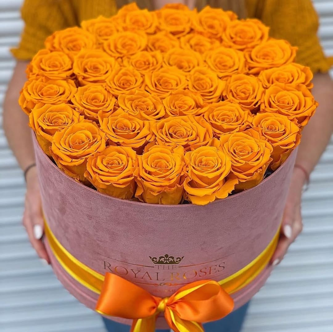 Post 10 by The Royal Roses on Instagram (image)