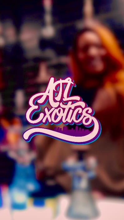 Post 2 by Atl Exotics on Instagram (video)