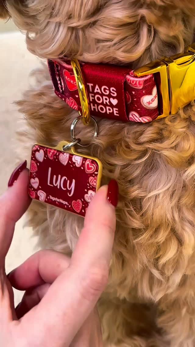 Post 1 by TagsforHope on Instagram (video)