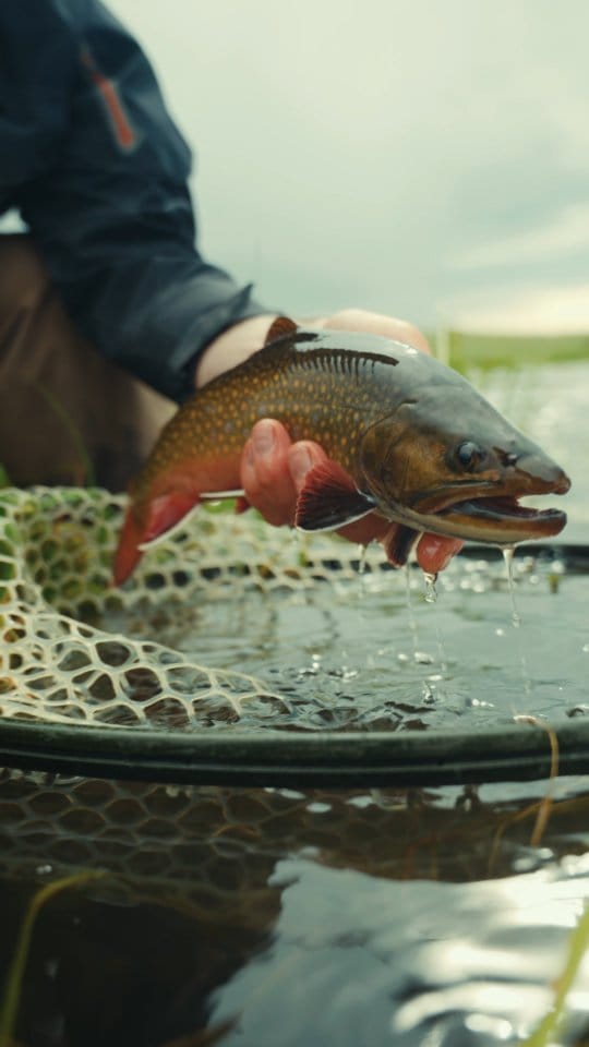 Post 6 by Trouts Fly Fishing on Instagram (video)