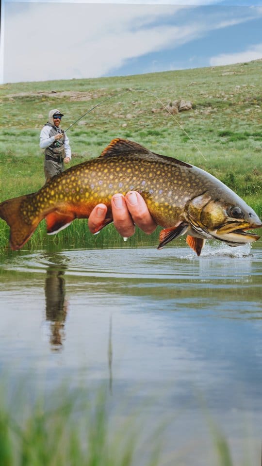 Post 5 by Trouts Fly Fishing on Instagram (video)