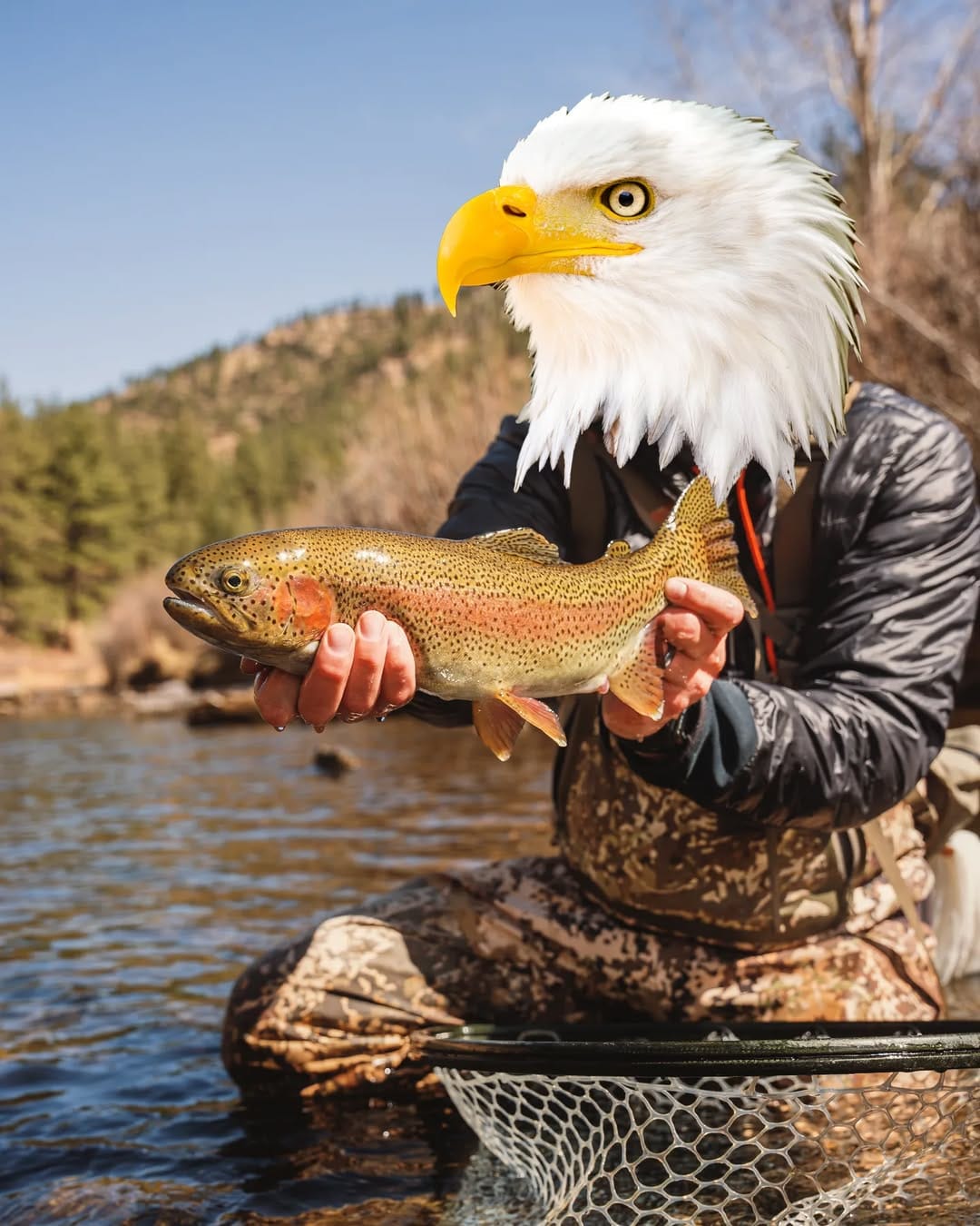 Post 8 by Trouts Fly Fishing on Instagram (image)