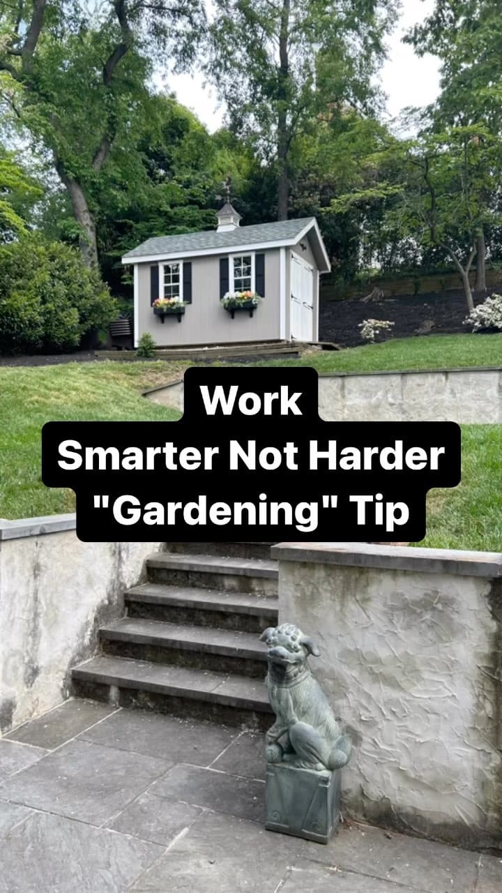 Post 7 by This American House on Instagram (video)