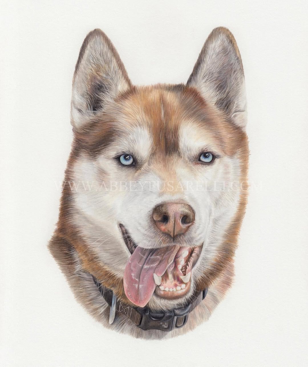 Post 6 by Pet Portrait & Wildlife Artist on Instagram (image)