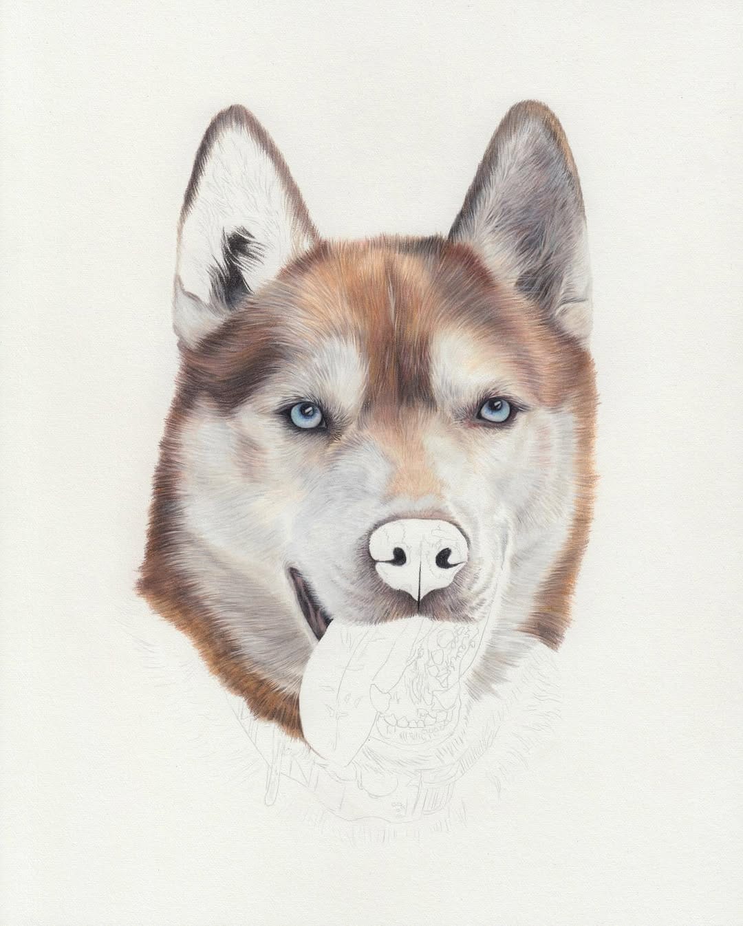 Post 10 by Pet Portrait & Wildlife Artist on Instagram (image)