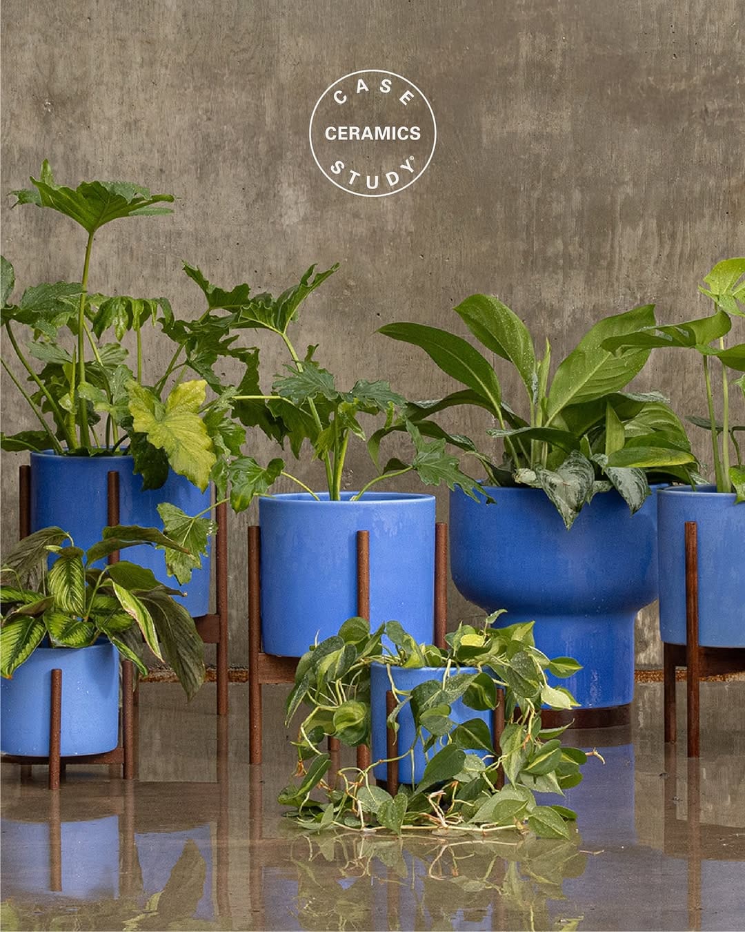 Post 4 by Modernica® on Instagram (image)